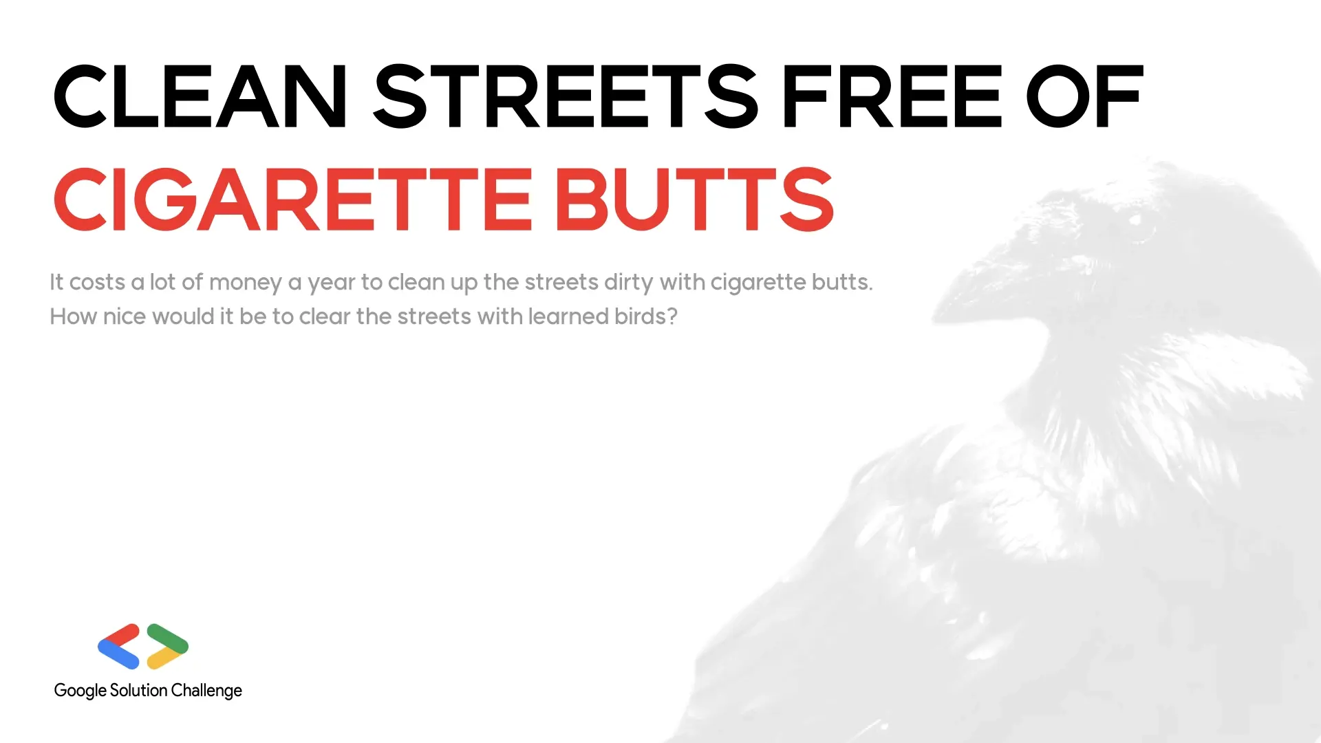 Slider image 0